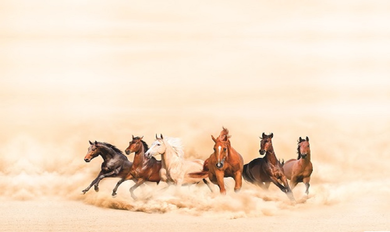 أنساب الخيول